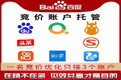 某电商平台的sem竞价推广托管经验